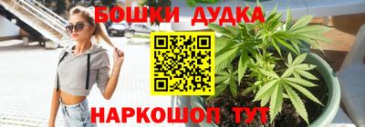 гашик Ликино-Дулёво
