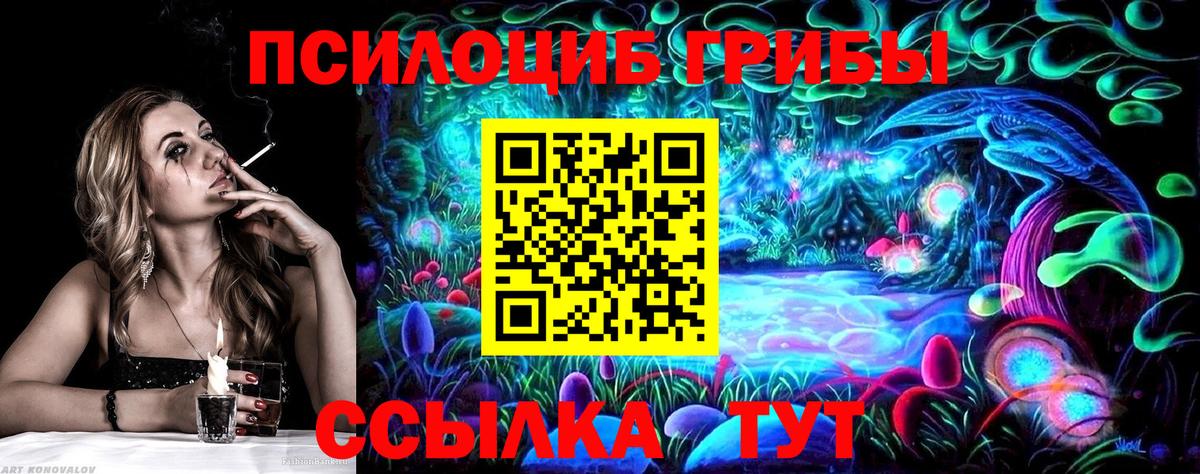 Соль-Илецк  Псилоцибиновые грибы GOLDEN TEACHER  Галлюциногенные грибы Magic Shrooms  Вход с VPN 